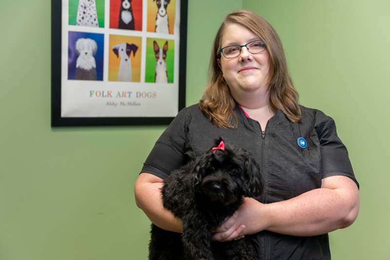 Pet Grooming | Veterinarian in Memphis, TN